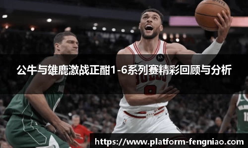 公牛与雄鹿激战正酣1-6系列赛精彩回顾与分析