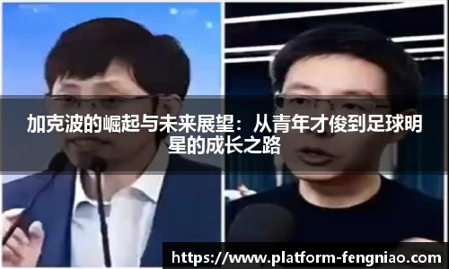 关键词4
