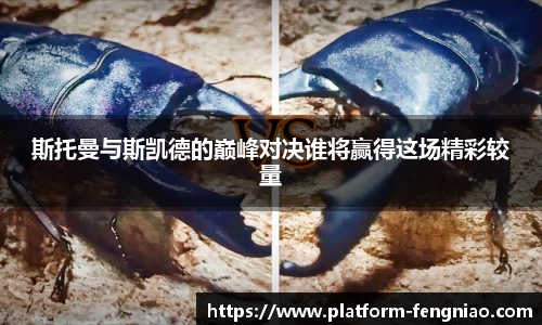斯托曼与斯凯德的巅峰对决谁将赢得这场精彩较量