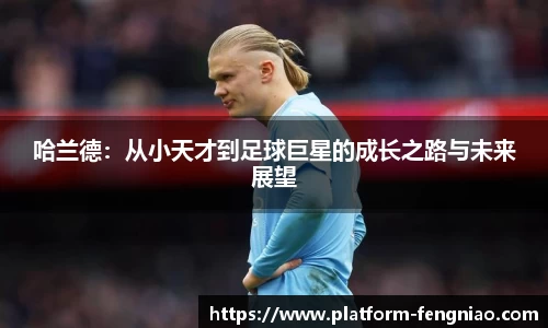 哈兰德：从小天才到足球巨星的成长之路与未来展望
