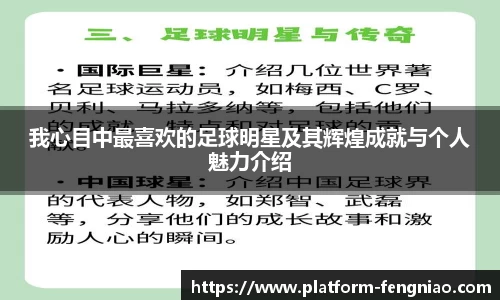 我心目中最喜欢的足球明星及其辉煌成就与个人魅力介绍